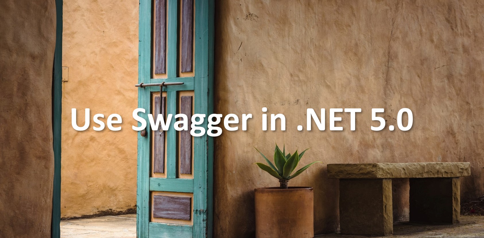 Use Swagger In .NET 5.0